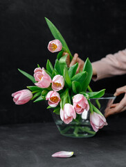 pink tulips with green leaves in a glass vase, on a black background, florist, floristry, gift, bouquet, bouquet for a girl, a bouquet of tulips, place for text, place for an inscription, beautiful