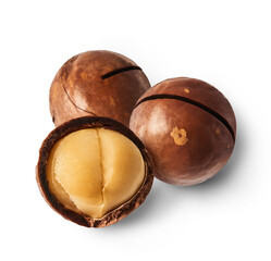 macadamia nuts isolated on white