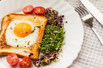 Fototapeta na wymiar Sandwich with scrambled eggs, tomatoes, sprouts of arugula and radishes, micro-greens Healthy food