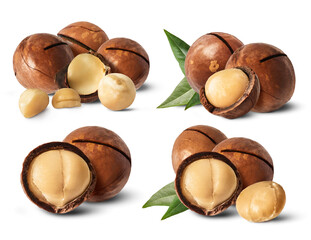 Fresh tasty macadamia nuts