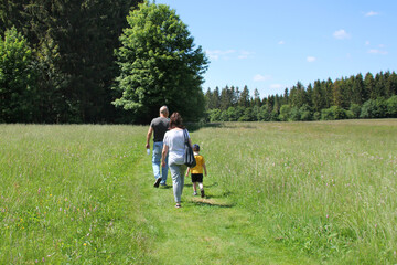 large group of people, family of three generations walk along path among meadows and forests in summer, men, woman, child, concept of family summer holidays, vacations, hiking in the forest, park