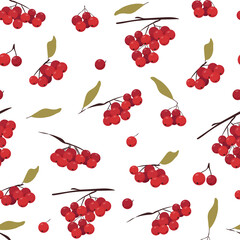 Seamless pattern with botanical elements. Various bunches of mountain ash with leaves. Ripe red berries.The concept of conservation and frugality of nature. vector