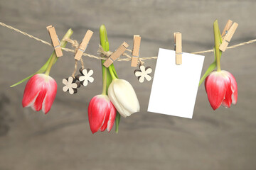 Tulpen und Karte	
