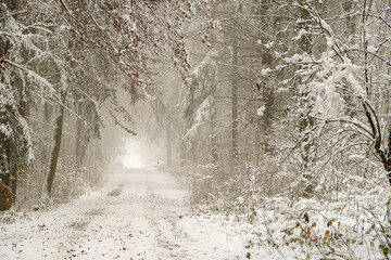 Winterwaldweg-02