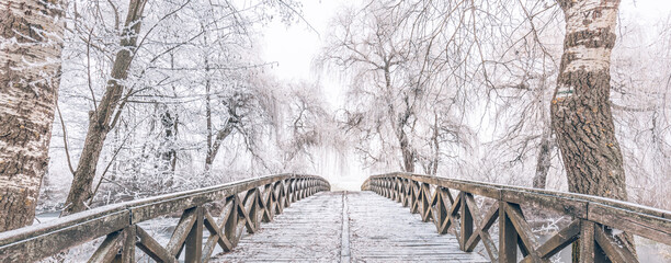 Cold winter day. View of wooden bridge in the forest with hoarfrost on trees and frozen nature landscape. Winter scene at the botanical garden, showing a bridge over frozen water, snow covered trees 