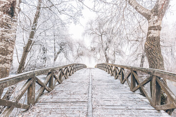 Cold winter day. View of wooden bridge in the forest with hoarfrost on trees and frozen nature landscape. Winter scene at the botanical garden, showing a bridge over frozen water, snow covered trees 