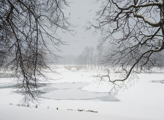Winter lake with patterns on the snow cover of the water and lots of flying gulls in the city park. Gatchina. Russia.