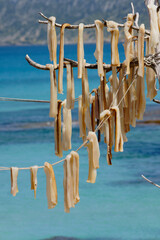 "Peix sec".Es Cal&oacute; de Sant Agust&iacute;..Formentera.Islas Pitiusas.Baleares.Espa&ntilde;a.