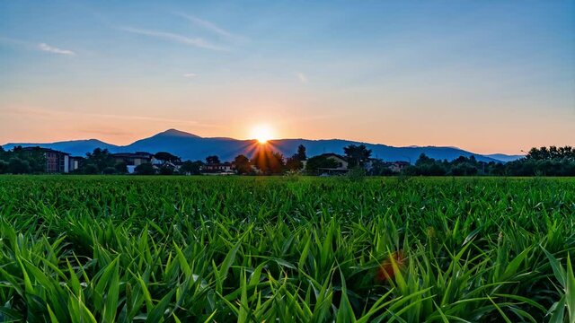 Time-lapse of countryside scenery, green farmland and small village at sunrise