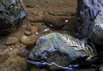 Quiet stream valley with rocks