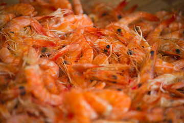 close up of shrimp