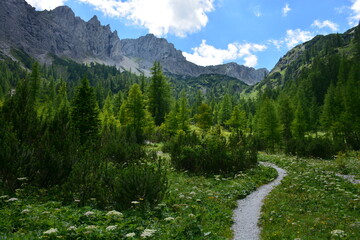 Fototapeta na wymiar Hiking trail leading through a mountain valley