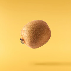 Fresh ripe kiwi falling in the air