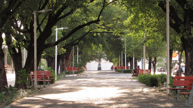 alley in the park