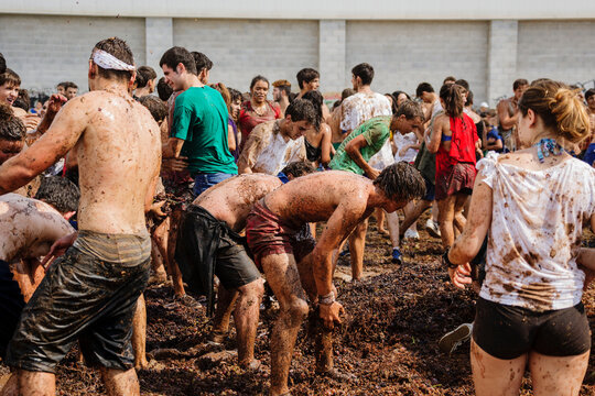 gran batalla de la uva -Gran Batalla Del Ra&iuml;m-, fiestas de Es Vermar, Binissalem, Mallorca, islas baleares, Spain, europa