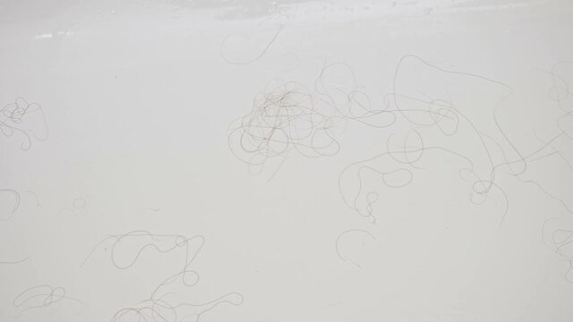 Camera motion over boundless clean white bathtub with scattered lost long dark hairs near round metallic drain cover extreme close view