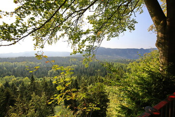 Kuhstall Felsentor im Elbsandsteingebirge