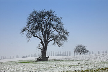 Winterlandschaft