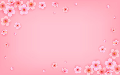 Sakura frame border Vector illustration. Pink Cherry blossom on pink background.