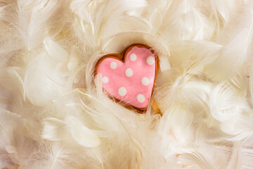 valentine's day pink heart with feathers
