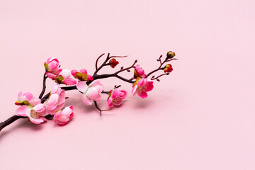 Artificial flowers on the branch. Pink background.