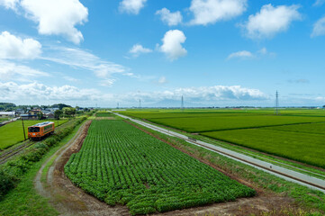 【青森県津軽地方】津軽の水田地帯とローカル鉄道
