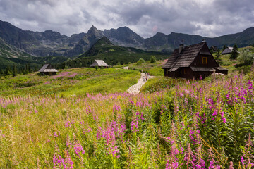 cabaña, Valle de gasienicowa , parque nacional Tatra, voivodato de la Pequeña Polonia, Cárpatos,  Polonia, europe