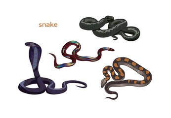 Obraz premium Set snake. Different snakes in vector graphics.