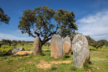 cromlech Vale Maria do Meio , Nossa Senhora da Graça do Divor ,Évora, Alentejo, Portugal © Tolo