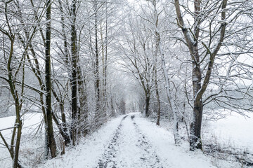 Winterlandschaft im Hanfbachtal