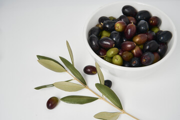 Olive branches and freshly picked green and black olives photographed on a white background.