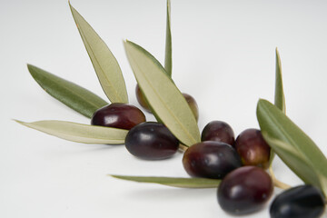 Olive branches and freshly picked green and black olives photographed on a white background.