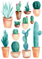 Set of Cacti, succulents and indoor plants on isolated white background, watercolor illustration