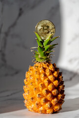 The bitcoin cryptocurrency coin is placed on top of the pineapple.