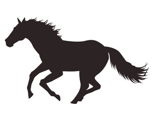 Fototapeta na wymiar horse black running animal silhouette