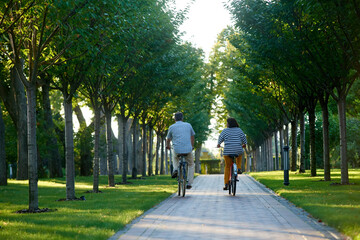 Retired couple riding bikes in the park. Back view mature man and woman cycling on bikes.