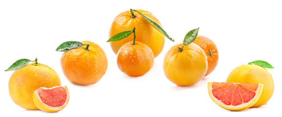 Grapefruit, orange and tangerine isolated on white background