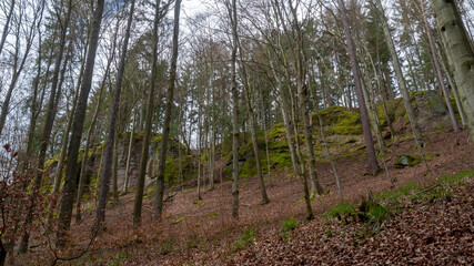 Eine Felswand auf dem Rennsteig im Thüringer Wald.