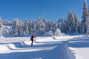 beautiful active senior woman cross-country skiing in fresh fallen powder snow in the Allgau alps...