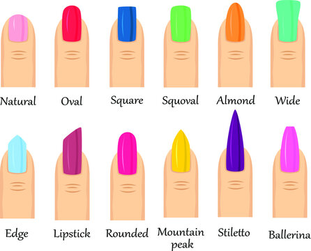 Colorful collection of fingernails with different shape