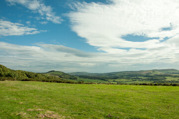 landscape with green grass and sky