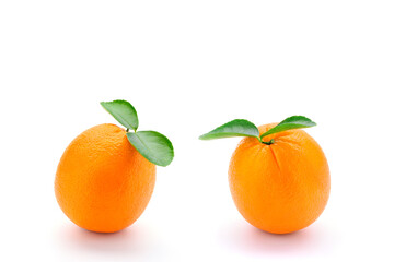 ripe orange with leaves on white background