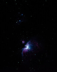 Orion's Nebula