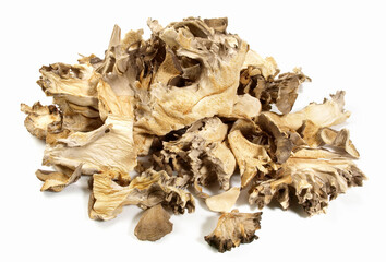 Medicinal Maitake Mushroom on white Background - Isolated