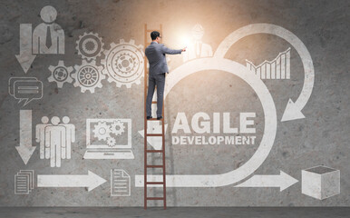Concept of agile software development