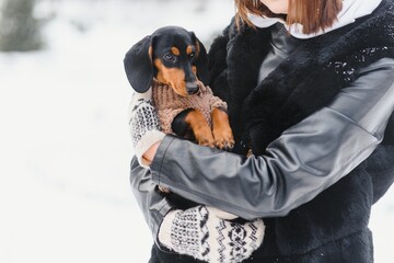 Young stylish woman with a dog having fun in a winter forest.