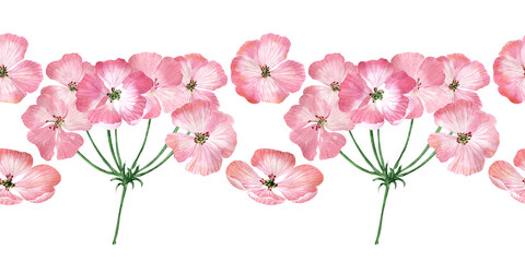 Watercolor seamless border with inflorescences, flowers, buds and leaves of the geranium plant
