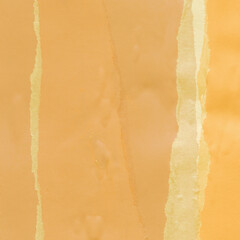Green torn paper collage close-up. Texture made from various paper and cardboard parts. Damaged old...