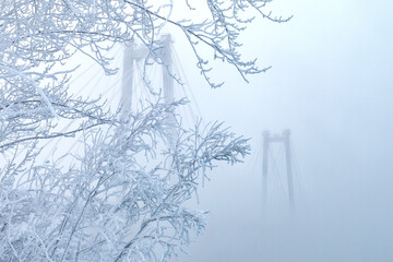 winter background, branches are covered with frost from frost on the background of the bridge in the fog on the Yenisei river, Krasnoyarsk, Russia