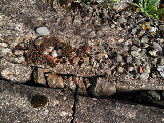 Surface of concrete and crushed stone texture with gap, moss and small pebbles. 